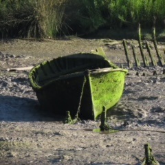 Old vessel lying on a beach